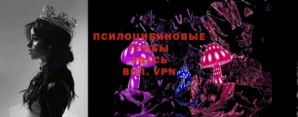 молекула духа Касимов
