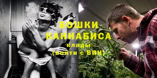 молекула духа Касимов