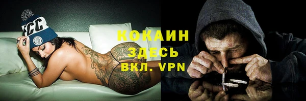 молекула духа Касимов