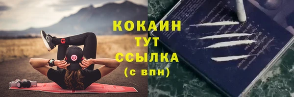 молекула духа Касимов