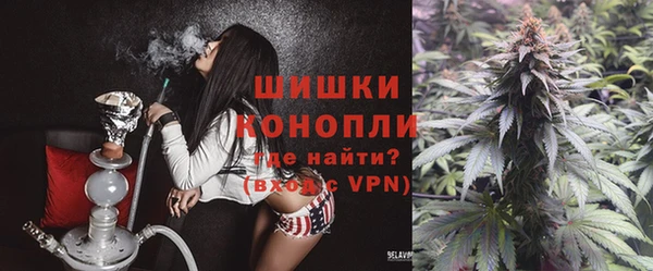 ГАЛЛЮЦИНОГЕННЫЕ ГРИБЫ Карпинск